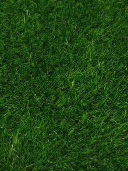 Газон искусственный, ворс 30 мм, 2×10 м, зелёный, Greengo