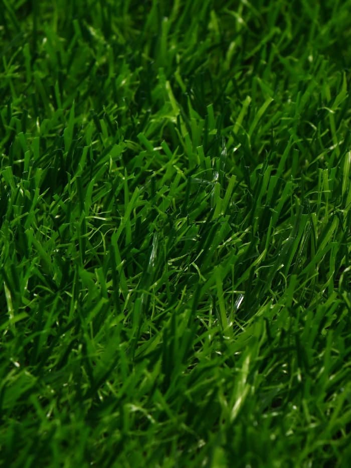 Газон искусственный, ворс 30 мм, 2×10 м, зелёный, Greengo