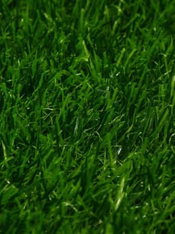 Газон искусственный, ворс 30 мм, 2×10 м, зелёный, Greengo