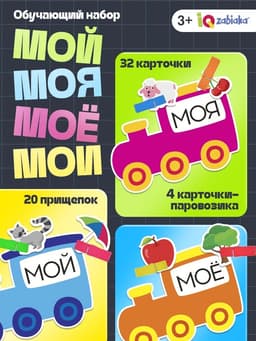 Обучающий набор с прищепками «Мой, моя, моё, мои», 32 карточки, 3+
