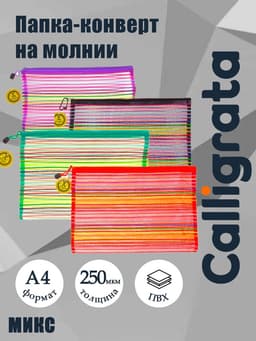 Папка-конверт на молнии А4 Calligrata «Полоска - сеточка», 250 мкм, МИКС