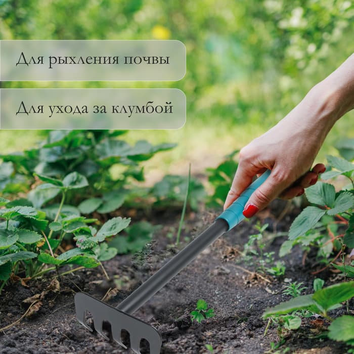 Грабли малые, прямые, 5 зубцов, длина 28.5 см, металл, пластиковая ручка, Greengo