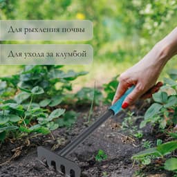 Грабли малые, прямые, 5 зубцов, длина 28.5 см, металл, пластиковая ручка, Greengo