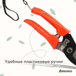 Секатор плоскостной, 7" (18 см), с пластиковыми ручками, Greengo