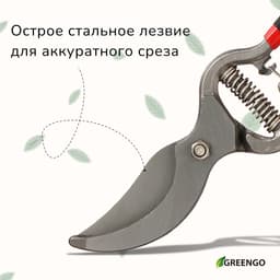 Секатор плоскостной, 10" (25 см), с металлическими обрезиненными ручками, Greengo