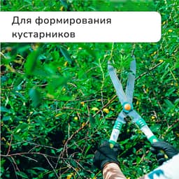 Кусторез, 19" (48 см), с пластиковыми ручками, Greengo