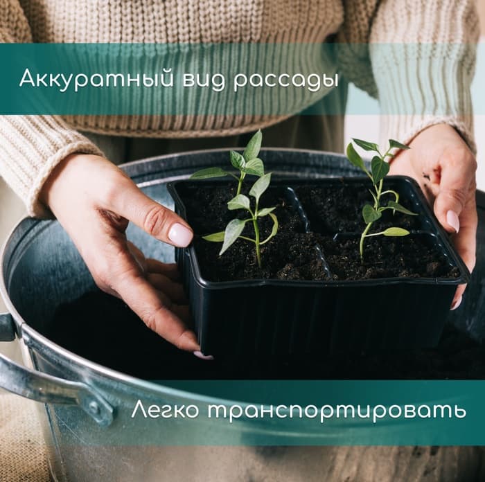 Кассета для рассады, на 32 ячейки, по 110 мл, пластиковая, чёрная, 53.5×27×5.5 см, Greengo