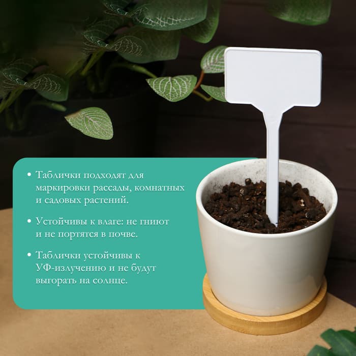 Таблички садовые, для маркировки растений, 15 см, набор 10 шт., пластик, белые, Greengo