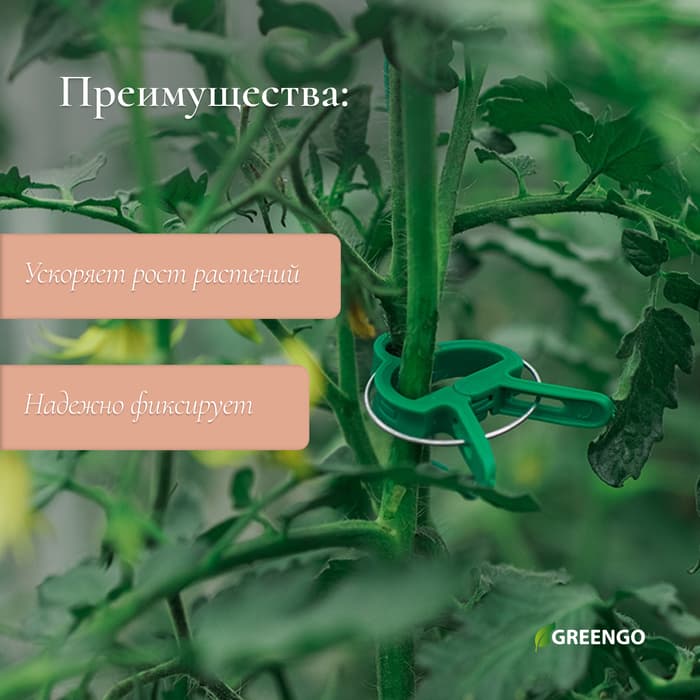 Набор для подвязки растений: прищепки большие (6.5 см) - 10 шт., прищепки малые (4.5 см) - 10 шт., Greengo