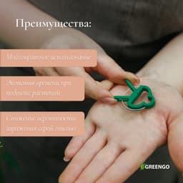 Набор для подвязки растений: прищепки большие (6.5 см) - 10 шт., прищепки малые (4.5 см) - 10 шт., Greengo