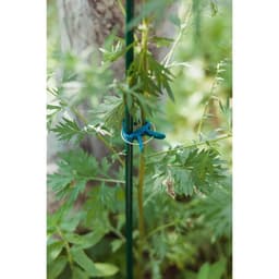 Набор для подвязки растений: прищепки большие (6.5 см) - 10 шт., прищепки малые (4.5 см) - 10 шт., Greengo