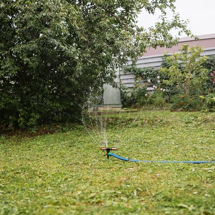 Распылитель 3-лепестковый, 24 см, под коннектор, пика, пластик, Greengo