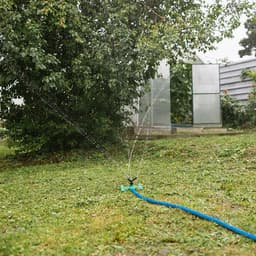 Распылитель 3-лепестковый, под коннектор, ABS пластик, Greengo