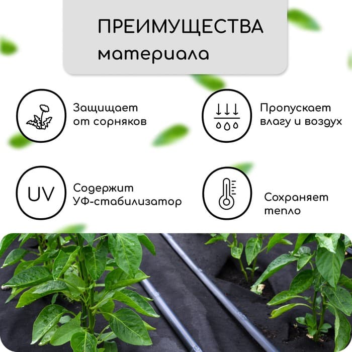 Материал мульчирующий, с перфорацией, 5×1.6 м, плотность 80 г/м², спанбонд с УФ-стабилизатором, 4 ряда перфорации, чёрный, Greengo, Эконом 30%