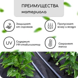 Материал мульчирующий, с перфорацией, 5×1.6 м, плотность 80 г/м², спанбонд с УФ-стабилизатором, 4 ряда перфорации, чёрный, Greengo, Эконом 30%