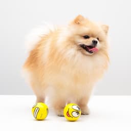 Мячик зефирный для собак «Эмоции», 6.3 см, цвет МИКС