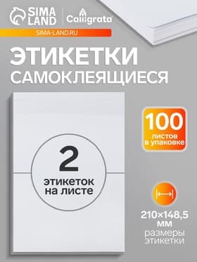 Этикетки А4 самоклеящиеся 100 листов, 80 г/м², 210×148.5 мм, белые, 2 штуки, МИКС матовые/глянец