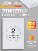 Этикетки А4 самоклеящиеся 100 листов, 80 г/м², 210×148.5 мм, белые, 2 штуки, МИКС матовые/глянец