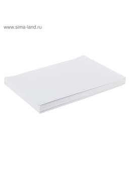 Этикетки А4 самоклеящиеся 100 листов, 80 г/м², 210×148.5 мм, белые, 2 штуки, МИКС матовые/глянец