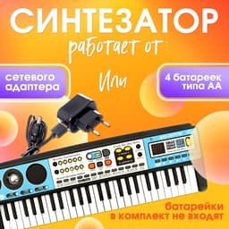 Синтезатор детский с микрофоном «Музыкальный взрыв», 49 клавиш с радио, работает от батареек