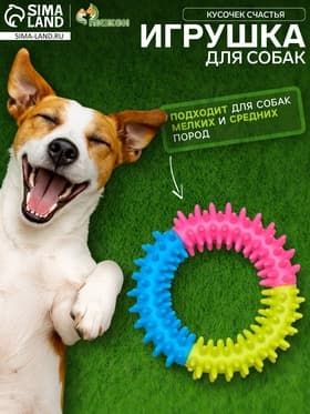 Жевательная игрушка для собак «Кусочек счастья», 9.5 см