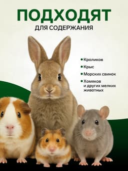 Сено луговое с фруктами «Пижон» для грызунов, 20 л, 500 г