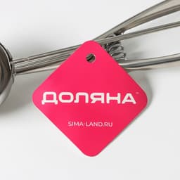 Ложка для мороженого Доляна, 22 см, 50 мл, хромированная