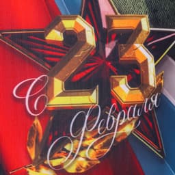 Подушка декоративная антистресс «С 23 февраля», 21×20 см