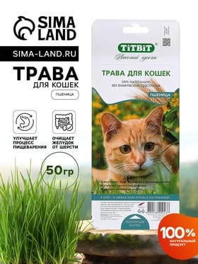 Трава TiTBiT для кошек, пшеница, 50 г