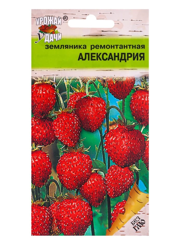 Семена Земляника «Александрия», 0.04 г, ремонтантная, «Урожай удачи»
