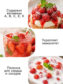 Семена Земляника «Александрия», 0.04 г, ремонтантная, «Урожай удачи»