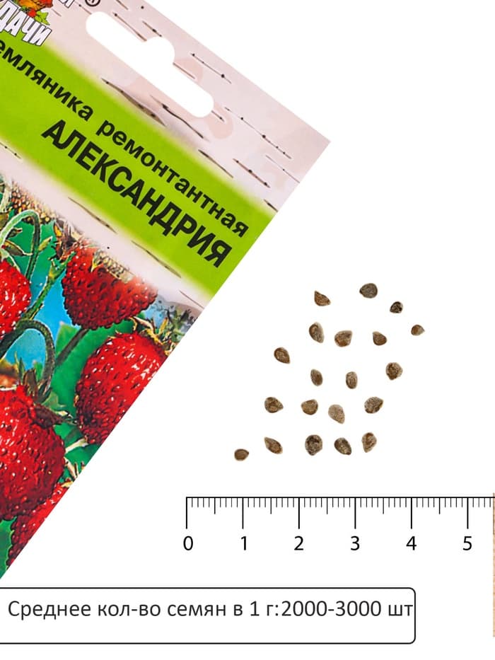 Семена Земляника «Александрия», 0.04 г, ремонтантная, «Урожай удачи»