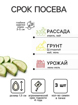 Семена Кабачок «Кавили», F1, 3 шт., «Урожай удачи»