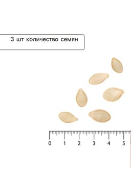 Семена Кабачок «Кавили», F1, 3 шт., «Урожай удачи»