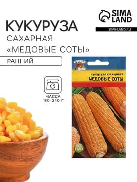 Семена Кукуруза сахарная «Медовые соты»,5 г, «Урожай удачи»