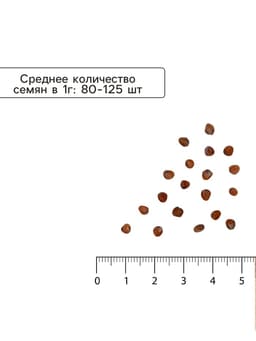 Семена Редис Смесь Скороспелых сортов,2 гр