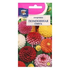 Семена цветов Георгина Смесь «Помпонная», 0.2 г