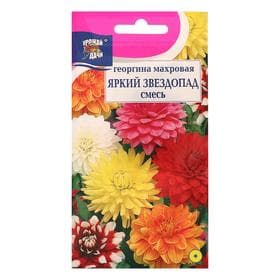 Семена цветов Георгина Смесь «ЯРКИЙ ЗВЕЗДОПАД», махровая, 0.2 г