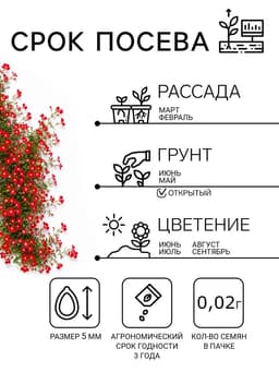 Семена цветов Лобелия плетистая «Красный фонтан», 0.02 г
