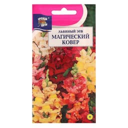 Семена цветов Цв Львиный зев низк. "Магический ковер",0,2 гр