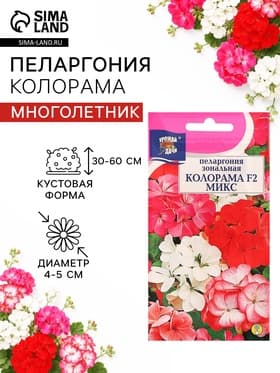 Семена цветов Пеларгония зональная «Колорама » F2, смесь окрасок,0.02 г