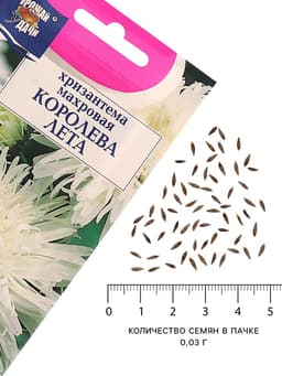 Семена цветов Хризантема многоцветковая «Королева лета», 0.03 г, «УРОЖАЙ УДАЧИ»