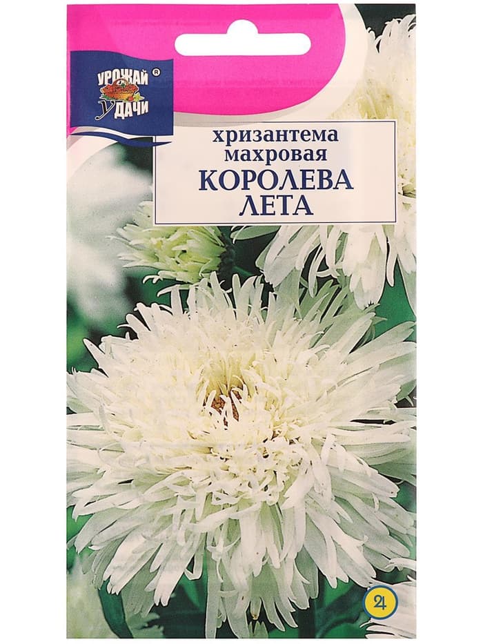 Семена цветов Хризантема многоцветковая «Королева лета», 0.03 г, «УРОЖАЙ УДАЧИ»