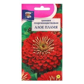 Семена цветов Цинния георгиновидная «Алое Пламя» 0.3 г