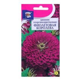 Семена цветов Цинния георгиноцветковая «Фиолетовая королева», 0.3 г