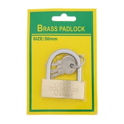 Замок навесной, тип 1, 41×48 мм, 3 ключа