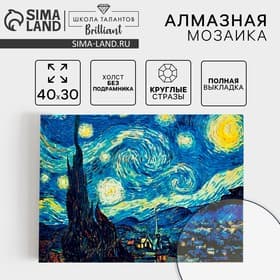 Алмазная мозаика с полным заполнением на холсте «Звёздная ночь», 30×40 см