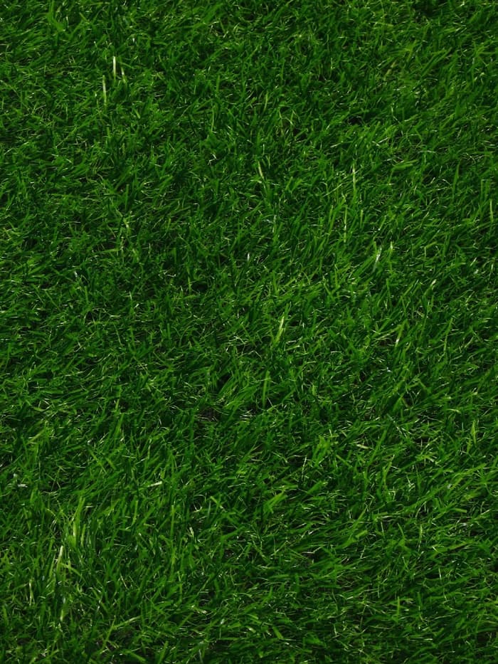 Газон искусственный, ворс 30 мм, 2×5 м, трёхцветный, тёмно-зелёный, Greengo