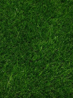 Газон искусственный, ворс 30 мм, 2×5 м, трёхцветный, тёмно-зелёный, Greengo