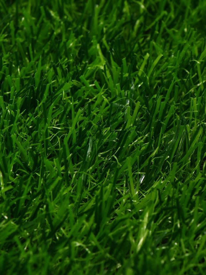 Газон искусственный, ворс 30 мм, 2×5 м, трёхцветный, тёмно-зелёный, Greengo